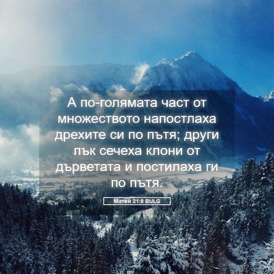 Picture 05 - Матей 21:8 BULG - А по-голямата част от - Bible Verse Picture