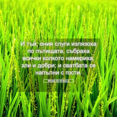 Picture 05 - Матей 22:10 BULG - И тъй, ония слуги излязоха - Bible Verse Picture