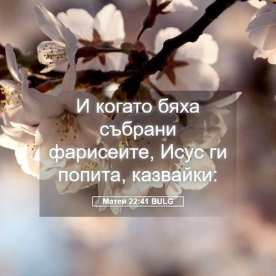Picture 05 - Матей 22:41 BULG - И когато бяха събрани - Bible Verse Picture