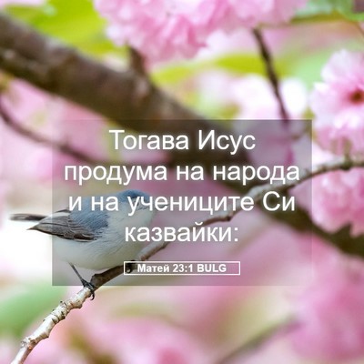 Picture 05 - Матей 23:1 BULG - Тогава Исус продума на - Bible Verse Picture