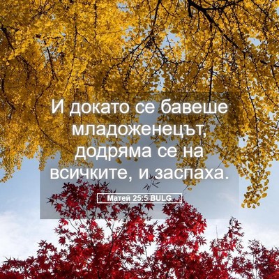 Picture 05 - Матей 25:5 BULG - И докато се бавеше - Bible Verse Picture