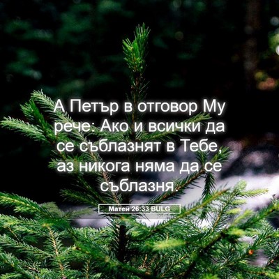 Picture 05 - Матей 26:33 BULG - А Петър в отговор Му рече: - Bible Verse Picture