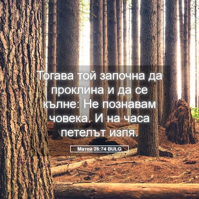 Picture 05 - Матей 26:74 BULG - Тогава той започна да - Bible Verse Picture