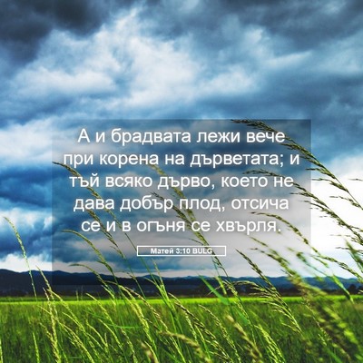 Picture 05 - Матей 3:10 BULG - А и брадвата лежи вече при - Bible Verse Picture
