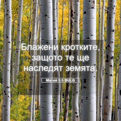 Picture 05 - Матей 5:5 BULG - Блажени кротките, защото - Bible Verse Picture