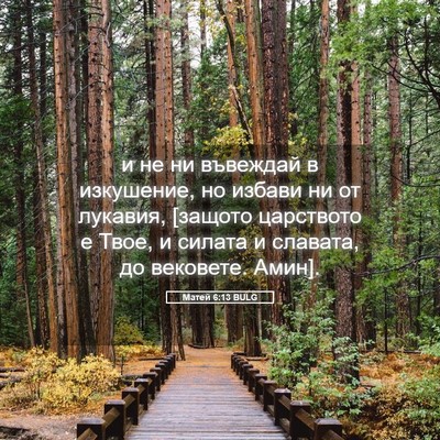 Picture 05 - Матей 6:13 BULG - и не ни въвеждай в - Bible Verse Picture