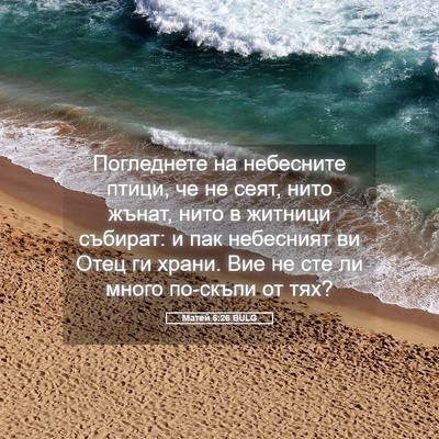 Picture 05 - Матей 6:26 BULG - Погледнете на небесните - Bible Verse Picture