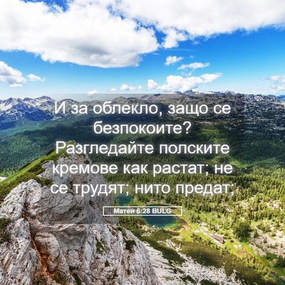 Picture 05 - Матей 6:28 BULG - И за облекло, защо се - Bible Verse Picture