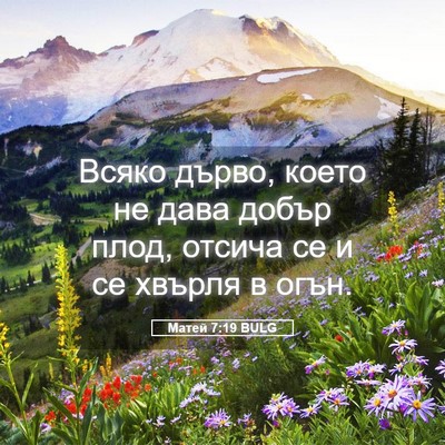Picture 05 - Матей 7:19 BULG - Всяко дърво, което не дава - Bible Verse Picture