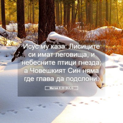 Picture 05 - Матей 8:20 BULG - Исус му каза: Лисиците си - Bible Verse Picture