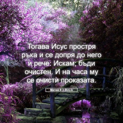 Picture 05 - Матей 8:3 BULG - Тогава Исус простря ръка и - Bible Verse Picture