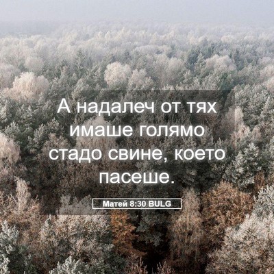 Picture 05 - Матей 8:30 BULG - А надалеч от тях имаше - Bible Verse Picture