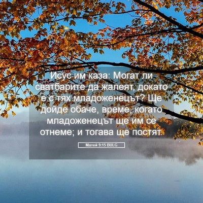 Picture 05 - Матей 9:15 BULG - Исус им каза: Могат ли - Bible Verse Picture