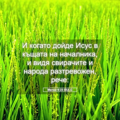 Picture 05 - Матей 9:23 BULG - И когато дойде Исус в - Bible Verse Picture