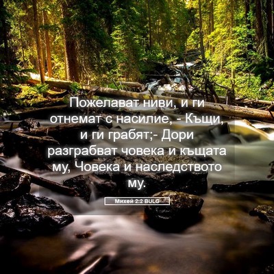 Picture 05 - Михей 2:2 BULG - Пожелават ниви, и ги - Bible Verse Picture