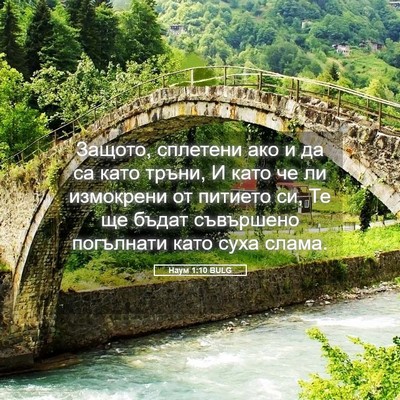 Picture 05 - Наум 1:10 BULG - Защото, сплетени ако и да - Bible Verse Picture