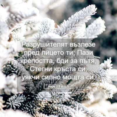Picture 05 - Наум 2:1 BULG - Разрушителят възлезе пред - Bible Verse Picture