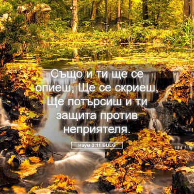 Picture 05 - Наум 3:11 BULG - Също и ти ще се опиеш, Ще се - Bible Verse Picture