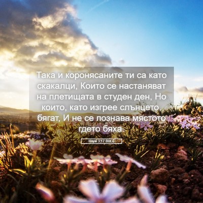 Picture 05 - Наум 3:17 BULG - Така и коронясаните ти са - Bible Verse Picture
