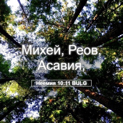 Picture 05 - Неемия 10:11 BULG - Михей, Реов, - Bible Verse Picture