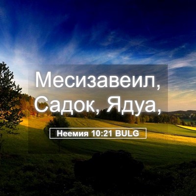 Picture 05 - Неемия 10:21 BULG - Месизавеил, Садок, - Bible Verse Picture