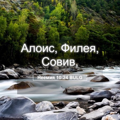 Picture 05 - Неемия 10:24 BULG - Алоис, Филея, - Bible Verse Picture