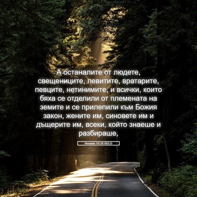 Picture 05 - Неемия 10:28 BULG - А останалите от людете, - Bible Verse Picture