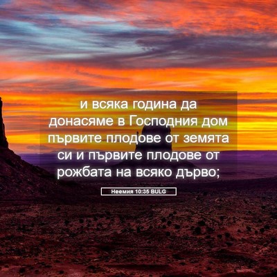 Picture 05 - Неемия 10:35 BULG - и всяка година да донасяме - Bible Verse Picture