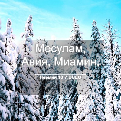 Picture 05 - Неемия 10:7 BULG - Месулам, Авия, - Bible Verse Picture