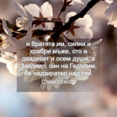 Picture 05 - Неемия 11:14 BULG - и братята им, силни и - Bible Verse Picture