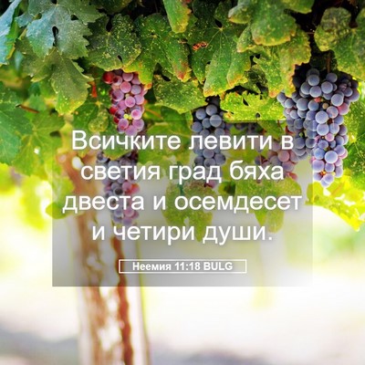 Picture 05 - Неемия 11:18 BULG - Всичките левити в светия - Bible Verse Picture