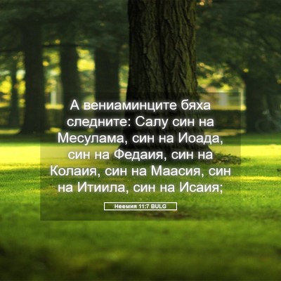 Picture 05 - Неемия 11:7 BULG - А вениаминците бяха - Bible Verse Picture
