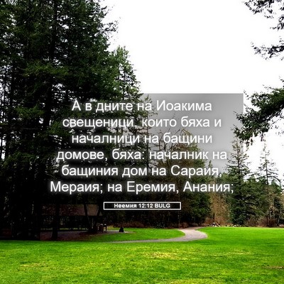 Picture 05 - Неемия 12:12 BULG - А в дните на Иоакима - Bible Verse Picture