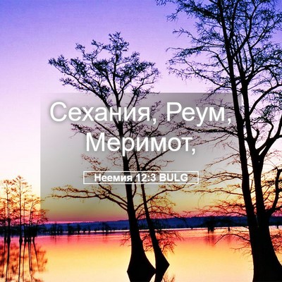 Picture 05 - Неемия 12:3 BULG - Сехания, Реум, - Bible Verse Picture