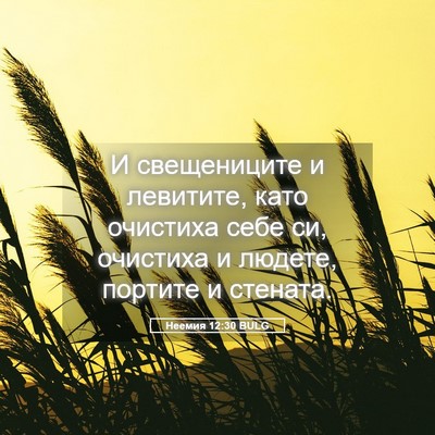 Picture 05 - Неемия 12:30 BULG - И свещениците и левитите, - Bible Verse Picture