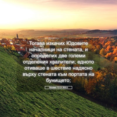 Picture 05 - Неемия 12:31 BULG - Тогава изкачих Юдовите - Bible Verse Picture