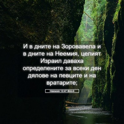 Picture 05 - Неемия 12:47 BULG - И в дните на Зоровавела и в - Bible Verse Picture