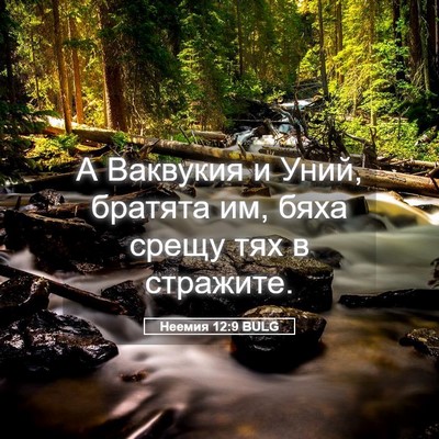 Picture 05 - Неемия 12:9 BULG - А Ваквукия и Уний, братята - Bible Verse Picture