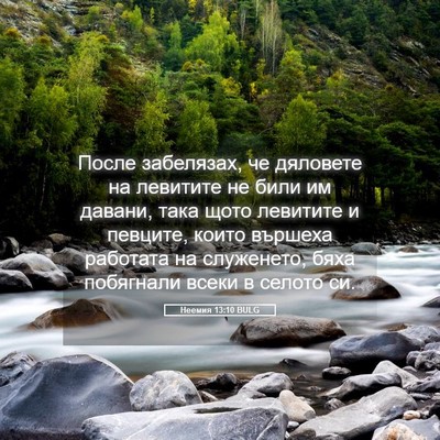 Picture 05 - Неемия 13:10 BULG - После забелязах, че - Bible Verse Picture