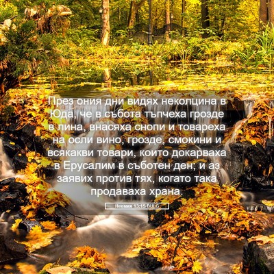 Picture 05 - Неемия 13:15 BULG - През ония дни видях - Bible Verse Picture