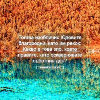 Picture 05 - Неемия 13:17 BULG - Тогава изобличих Юдовите - Bible Verse Picture
