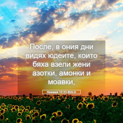 Picture 05 - Неемия 13:23 BULG - После, в ония дни видях - Bible Verse Picture