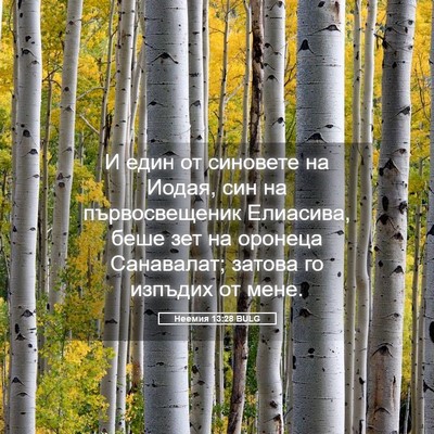 Picture 05 - Неемия 13:28 BULG - И един от синовете на - Bible Verse Picture