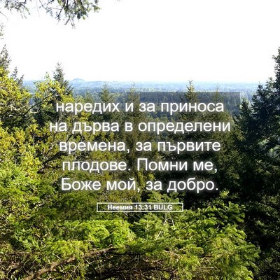 Picture 05 - Неемия 13:31 BULG - наредих и за приноса на - Bible Verse Picture