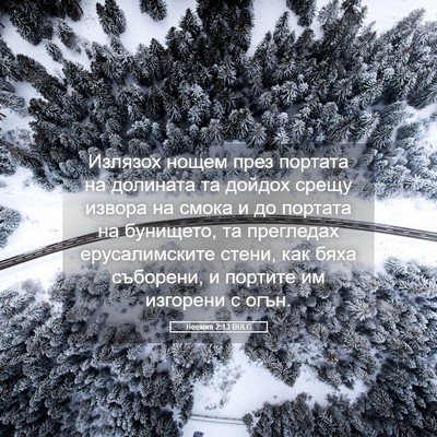 Picture 05 - Неемия 2:13 BULG - Излязох нощем през портата - Bible Verse Picture