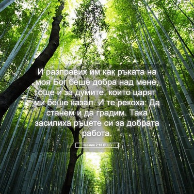 Picture 05 - Неемия 2:18 BULG - И разправих им как ръката - Bible Verse Picture