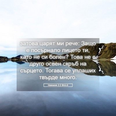 Picture 05 - Неемия 2:2 BULG - затова царят ми рече: Защо - Bible Verse Picture