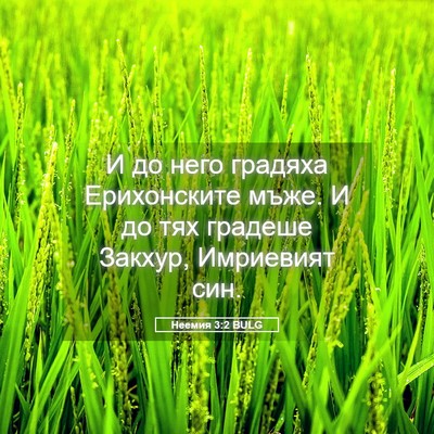 Picture 05 - Неемия 3:2 BULG - И до него градяха - Bible Verse Picture