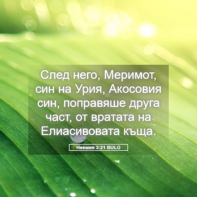 Picture 05 - Неемия 3:21 BULG - След него, Меримот, син на - Bible Verse Picture
