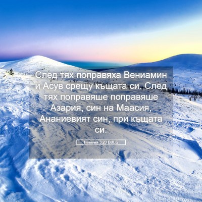 Picture 05 - Неемия 3:23 BULG - След тях поправяха - Bible Verse Picture